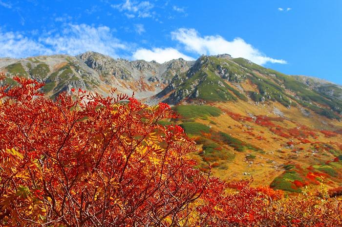 秋の北アルプス、紅葉に染まる山並み